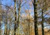 Amsterdam – Leuke dingen doen weekend 2 en 3 maart 2019 Amsterdam - Leuke dingen doen weekend 2 en 3 maart 2019