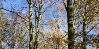 Amsterdam – Leuke dingen doen weekend 2 en 3 maart 2019 Amsterdam - Leuke dingen doen weekend 2 en 3 maart 2019