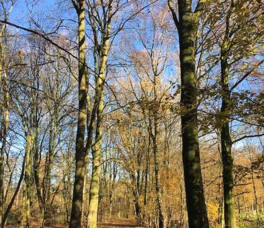 Amsterdam – Leuke dingen doen weekend 2 en 3 maart 2019 Amsterdam - Leuke dingen doen weekend 2 en 3 maart 2019