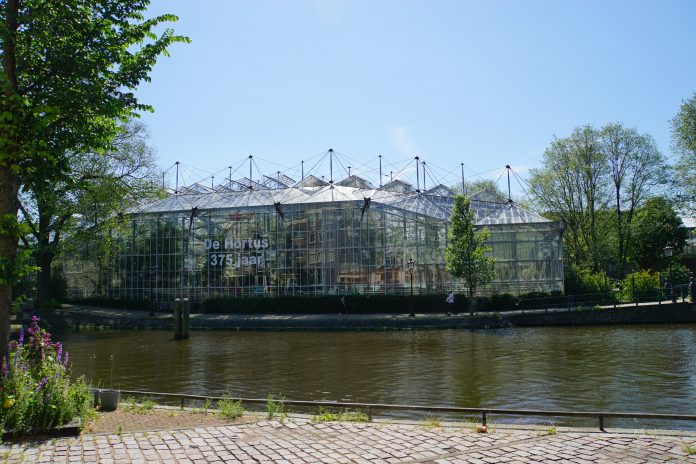 Rondleidingen door de Hortus Rondleidingen door de Hortus