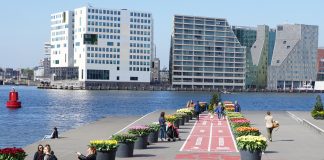 Als de lente komt pluk ik voor jou tulpen uit Amsterdam Als de lente komt pluk ik voor jou tulpen uit Amsterdam