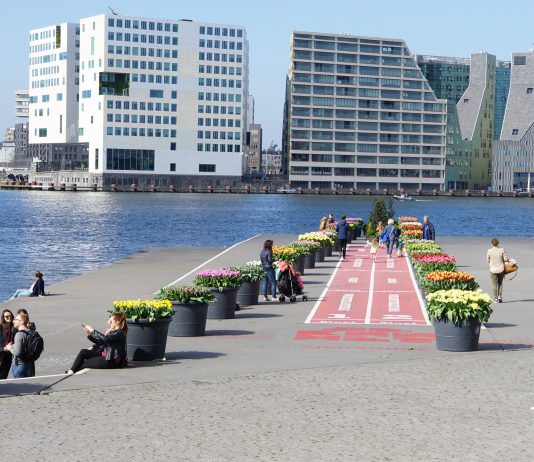 Als de lente komt pluk ik voor jou tulpen uit Amsterdam