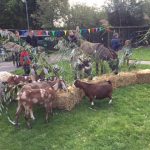 5 x kinderboerderijen in Amsterdam