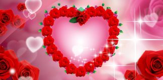 Valentijnsdag 14 februari 2019 in Amsterdam Valentijnsdag 14 februari 2019 in Amsterdam