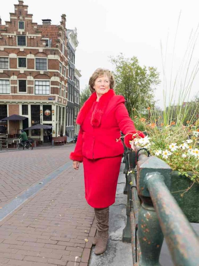 Partij van de Ouderen: Provincie, stop brug over het IJ Partij van de Ouderen: Provincie, stop brug over het IJ