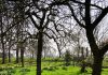 Heerlijk picknicken in pittoresk ‘GTST-park’ onder de rook van Amsterdam Heerlijk picknicken in pittoresk ‘GTST-park’ onder de rook van Amsterdam