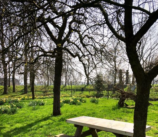 Heerlijk picknicken in pittoresk ‘GTST-park’ onder de rook van Amsterdam