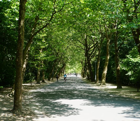Things to do in Amsterdam – weekend Things to do in Amsterdam - weekend