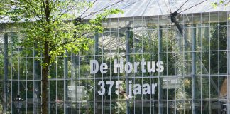 Wat kun je doen tijdens Moederdag in Amsterdam? Wat kun je doen tijdens Moederdag in Amsterdam?
