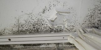 Schimmelexpert tegen schimmelwoningen Schimmelexpert tegen schimmelwoningen