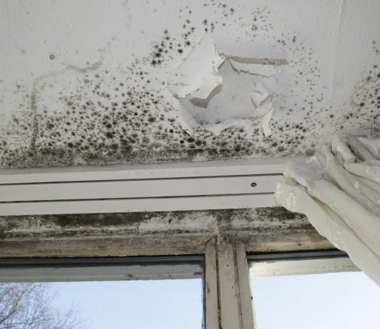 Schimmelexpert tegen schimmelwoningen Schimmelexpert tegen schimmelwoningen