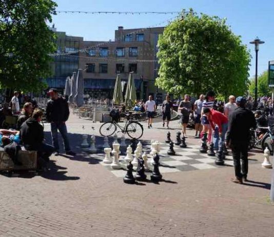 Leuke dingen doen - Schaakfestival