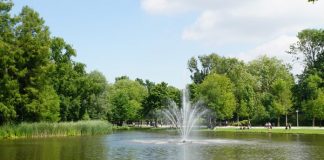 Amstelveen winnaar onderzoek naar meeste m² park per inwoner Amsterdam niet in top-10 steden met meeste parkruimte