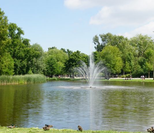 Amsterdam niet in top-10 steden met meeste parkruimte