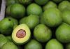 Top-3 Amsterdamse winkels die gezonde producten verkopen Top-3 Amsterdamse winkels die gezonde producten verkopen