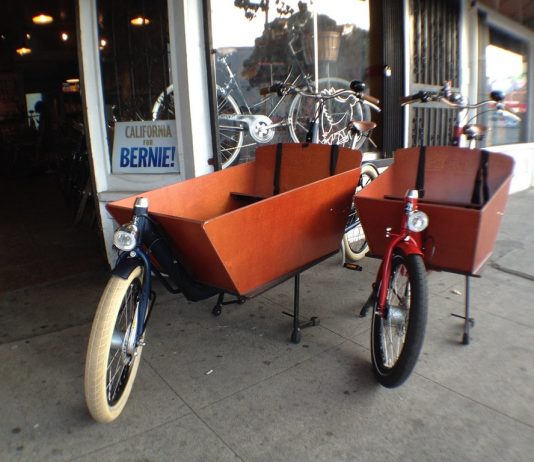 Top-4 voordelen van een bakfiets in de stad Top-4 voordelen van een bakfiets in de stad