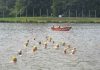 De Bosbaan maakt zich op voor dé Open Water Zwemklassieker De Bosbaan maakt zich op voor dé Open Water Zwemklassieker