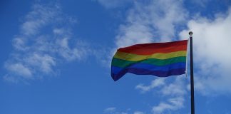 De PVDA heeft ook actie gevoerd tijdens de Antwerp Pride. In het Belgische Antwerpen werd er een statement gemaakt tegen het verbod voor het dragen van regenboogpins voor Antwerpse loketbedienden.