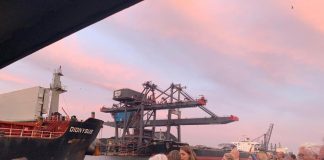 Havensafari organiseert bijzondere Cacao Expeditie