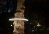 Voorbeschouwing op de bijzondere lichtkunsttentoonstelling Parklicht 2019 Voorbeschouwing op de bijzondere lichtkunsttentoonstelling Parklicht 2019