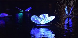 Amsterdam Light in beeld