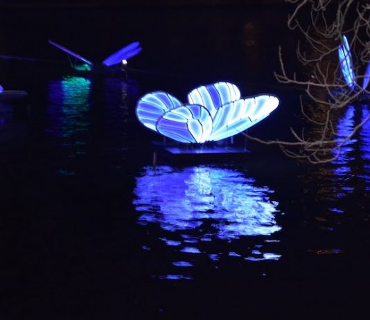Amsterdam Light in beeld