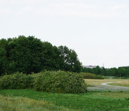 Amstelland – gebied in en rondom Amsterdam Amstelland - gebied in en rondom Amsterdam