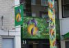 Jungle Amsterdam: “Mensen eerlijk helpen in de Duurzaamheidsjungle”