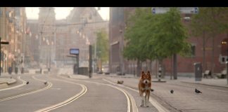 Geen Hond in Amsterdam
