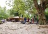 Iedere zondag in de zomer gratis livemuziek in de Tolhuistuin Iedere zondag in de zomer gratis livemuziek in de Tolhuistuin
