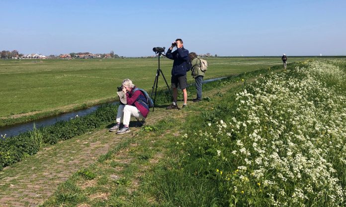 KNNV: “Enthousiaste natuurliefhebbers die graag de natuur intrekken” KNNV: “Enthousiaste natuurliefhebbers die graag de natuur intrekken”