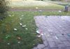 Politie Amstelveen stopt illegaal feest met honderden bezoekers Politie Amstelveen stopt illegaal feest met honderden bezoekers