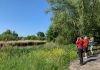 Blije Vogels Westerpark: “Vogels kijken is een heerlijke hobby voor een leven lang” Blije Vogels Westerpark: "Vogels kijken is een heerlijke hobby voor een leven lang"