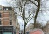 Advocaat Peter Plasman stemt op Wil van Soest Advocaat Peter Plasman stemt op Wil van Soest
