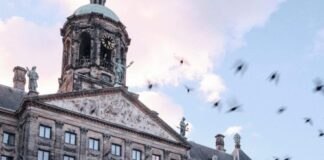 TEDxAmsterdam introduceert ‘Acts Worth Knowing’ en geeft inspirerende initiatieven een podium