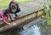 Beleef de wildernis van de stad in een reeks opvallende expedities Beleef de wildernis van de stad in een reeks opvallende expedities