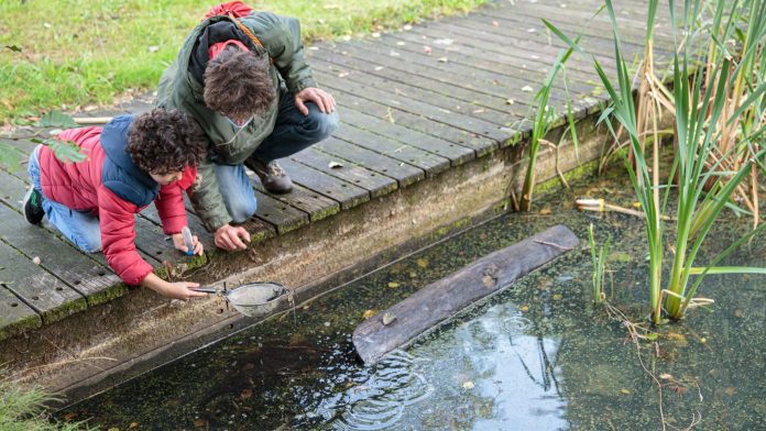 Tolhuistuin Beleef de wildernis van de stad in een reeks opvallende expedities