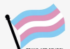 Trans Art School gaat weer beginnen