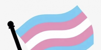 Trans Art School gaat weer beginnen