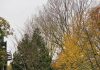 Een dagje Amsterdam met de kinderen: natuurspeeltuin Een dagje Amsterdam met de kinderen: natuurspeeltuin