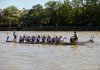 Het verhaal achter drakenboot vereniging Concrete Dragons