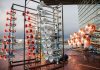 144 scheepshoorns op het Amsterdamse IJ openen Pärt Festival