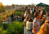 ROEF Expeditie over de mooiste daken mét live muziek, workshops, tastings en silent disco ROEF Expeditie over de mooiste daken mét live muziek, workshops, tastings en silent disco