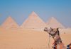 Egypte bezoeken: visum aanvragen en leuke tips Egypte bezoeken: visum aanvragen en leuke tips