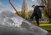 Jasper Krabbé curator ARTZUID 2023