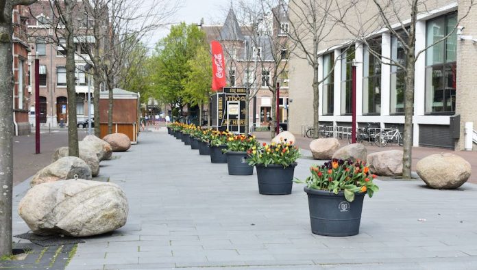 Tulp Festival Tulp Festival zet in april de hoofdstad in bloei