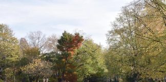 5x redenen om een trouwfotograaf in te schakelen voor de bruiloft