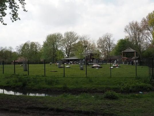 Stemmen gevraagd om extra speelwaarde te creëren voor Kinderboerderij Het Sloterpark