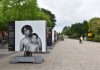 Pride Photo Tentoonstelling ‘The Process of Change’ te bezoeken in Westerpark Pride Photo Tentoonstelling 'The Process of Change' te bezoeken in Westerpark
