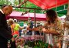 Zondag 27 augustus Buurtfeest op de Boulevard